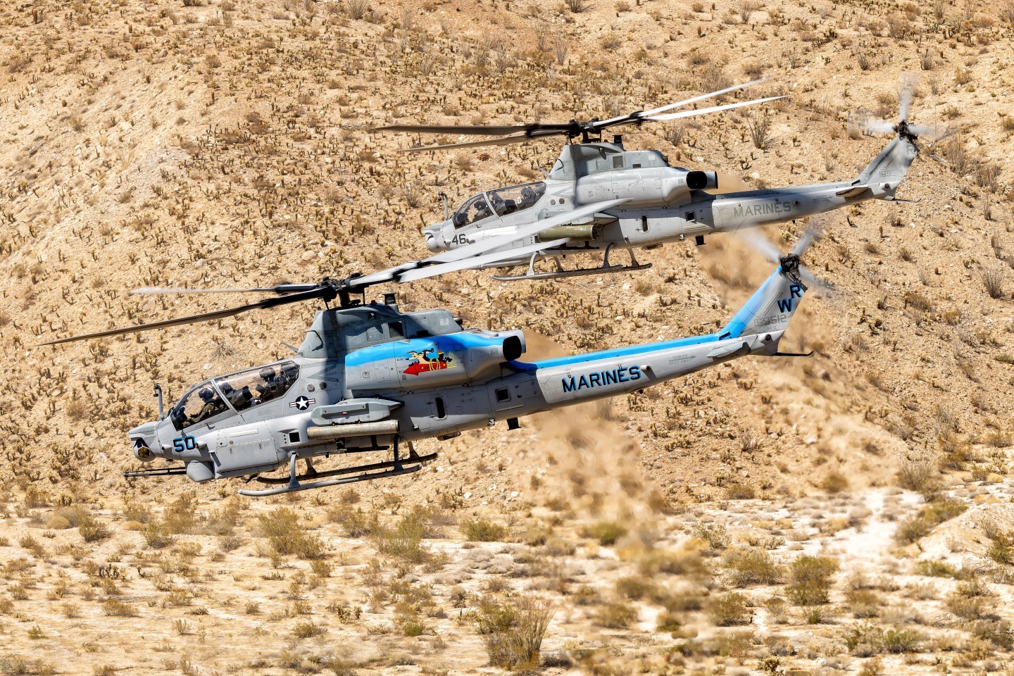 We got the fantastic opportunity to meet up with Coyote 50, the Viper Color Bird that Shane Meder designed and painted at MCAS Pendleton less than a week after it was finished. Dave Nenna assisted her in the painting. We found a really beautiful location near Agua Caliente, California. We climbed a small mountain so that we could be above or at eye level as they flew by. The temperature was in the 90's and the mountain was slippery.