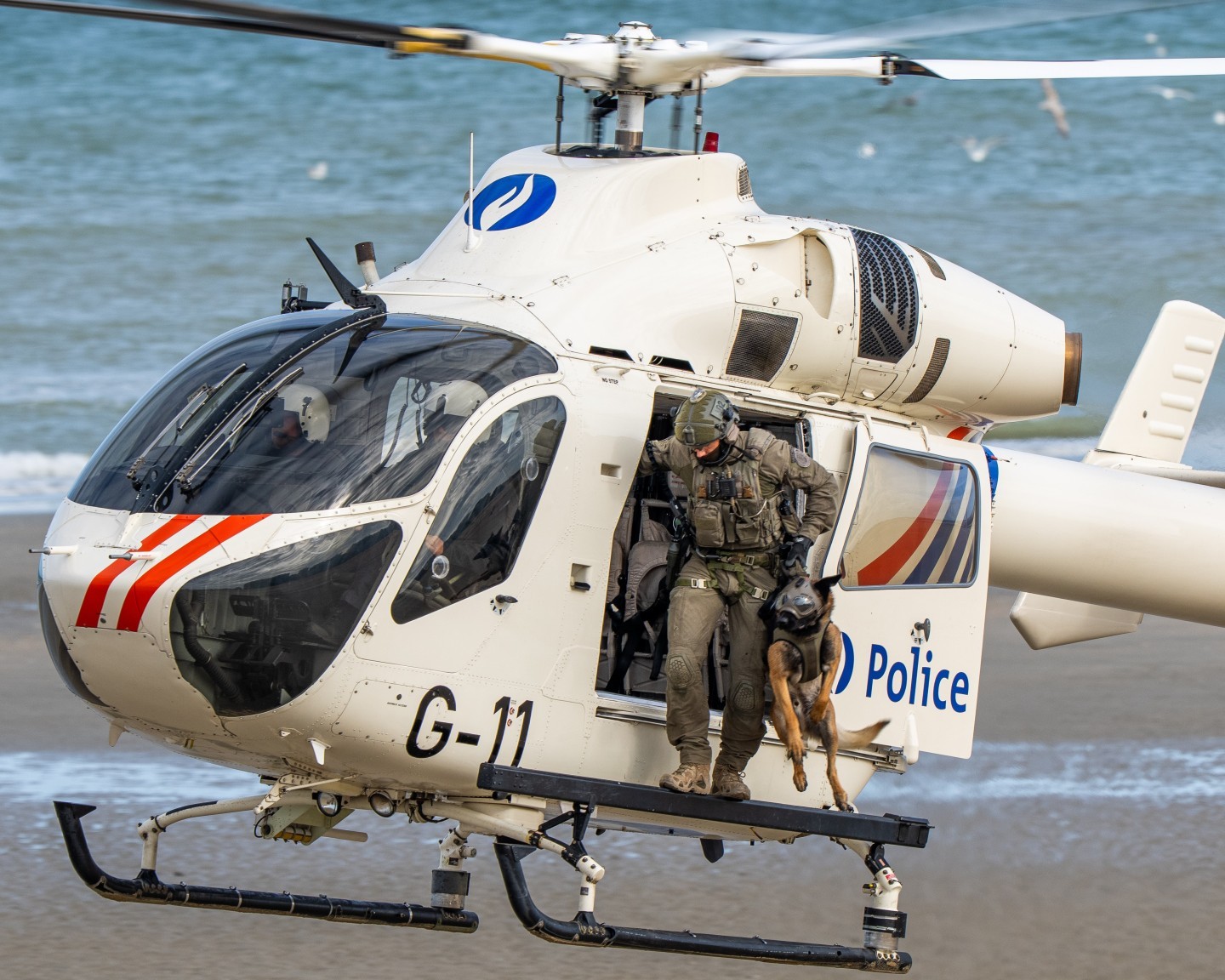 Belgian Federal Police
McDonnel Douglas MD902 Explorer
RAGO Heli
with special Forces of federal Police : DSU Group Diane