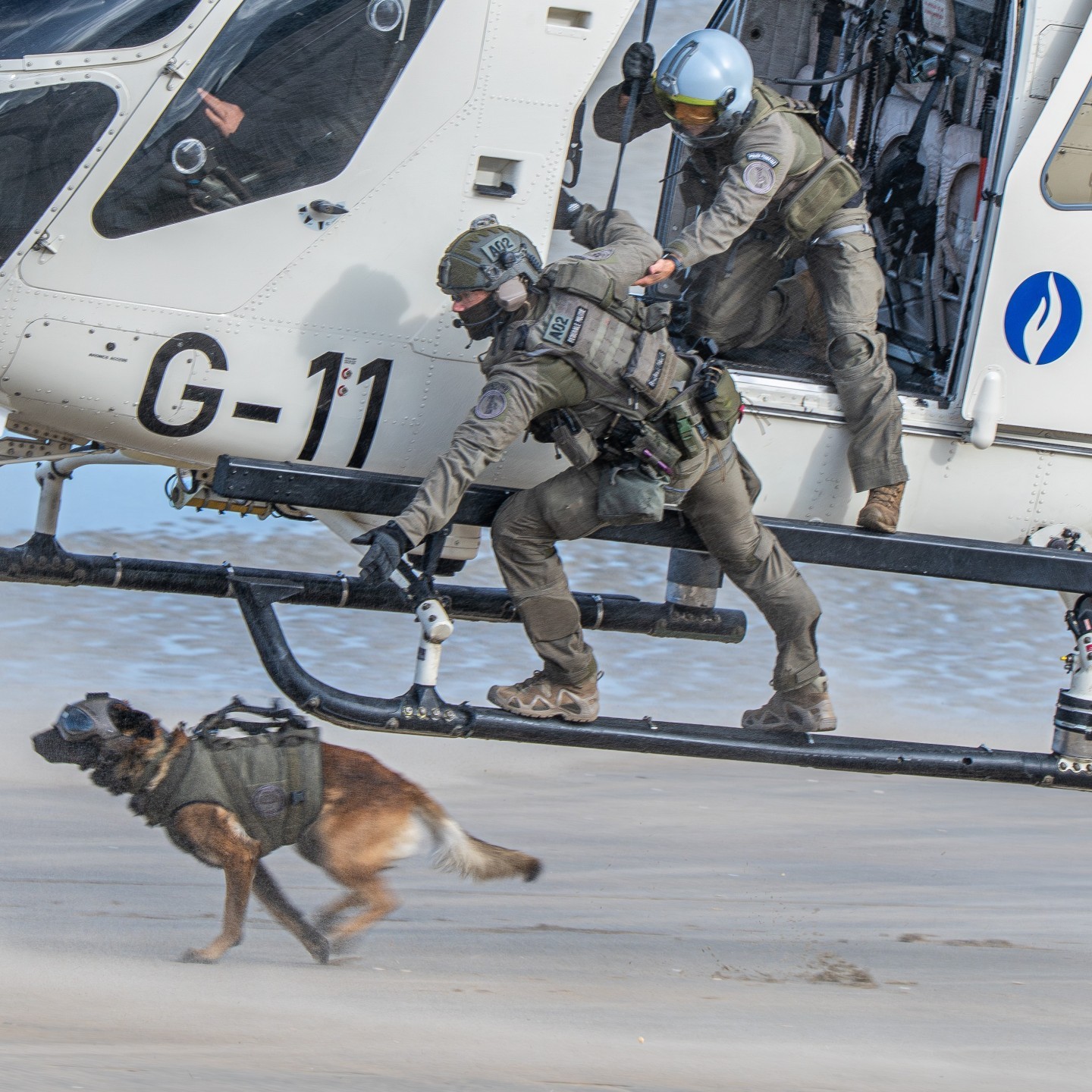 Belgian Federal Police
McDonnel Douglas MD902 Explorer
RAGO Heli
with special Forces of federal Police : DSU Group Diane