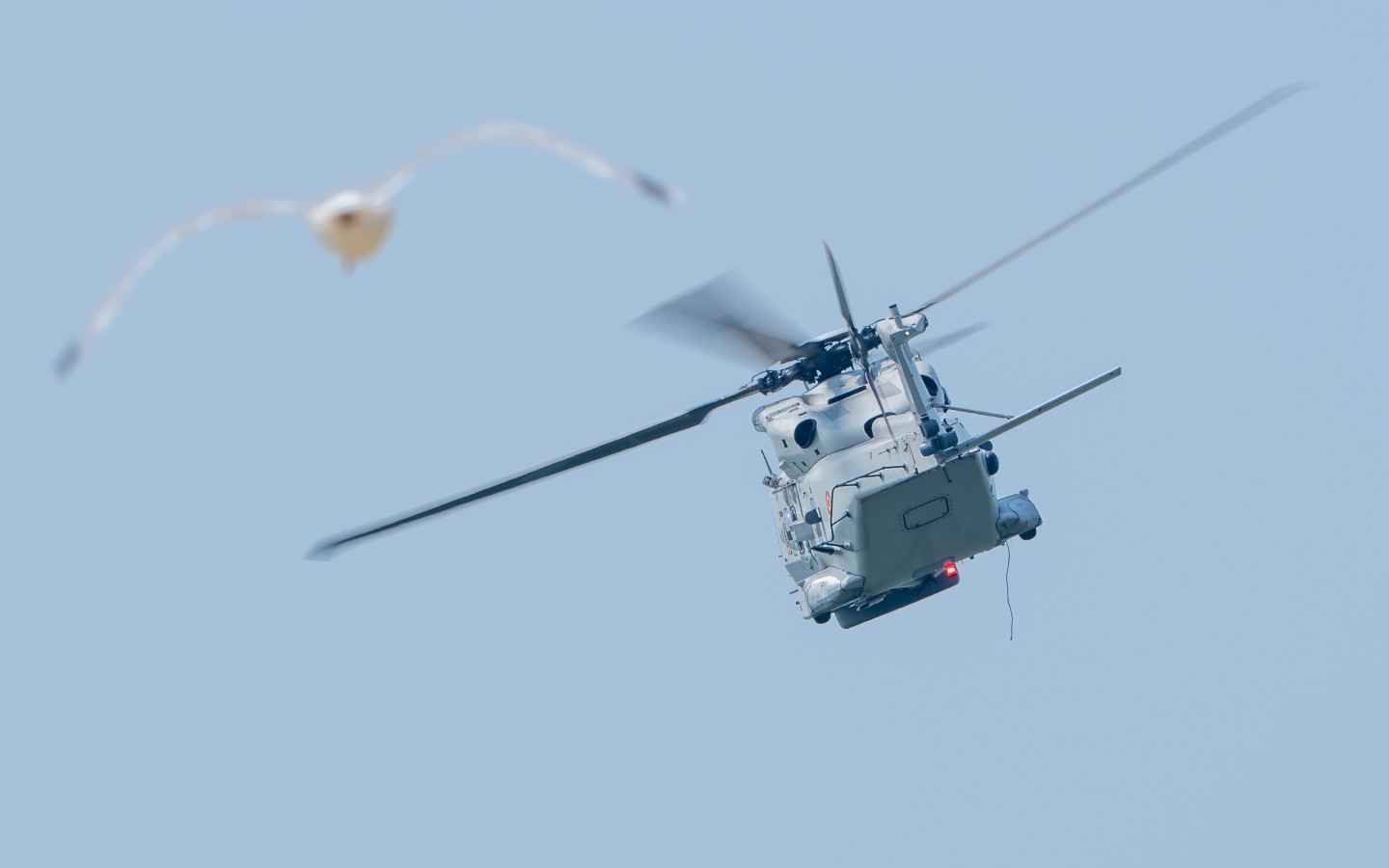 Rescue Heli vs SeaGull
Belgian Air Force
NH90 SAR Squadron
40sqn