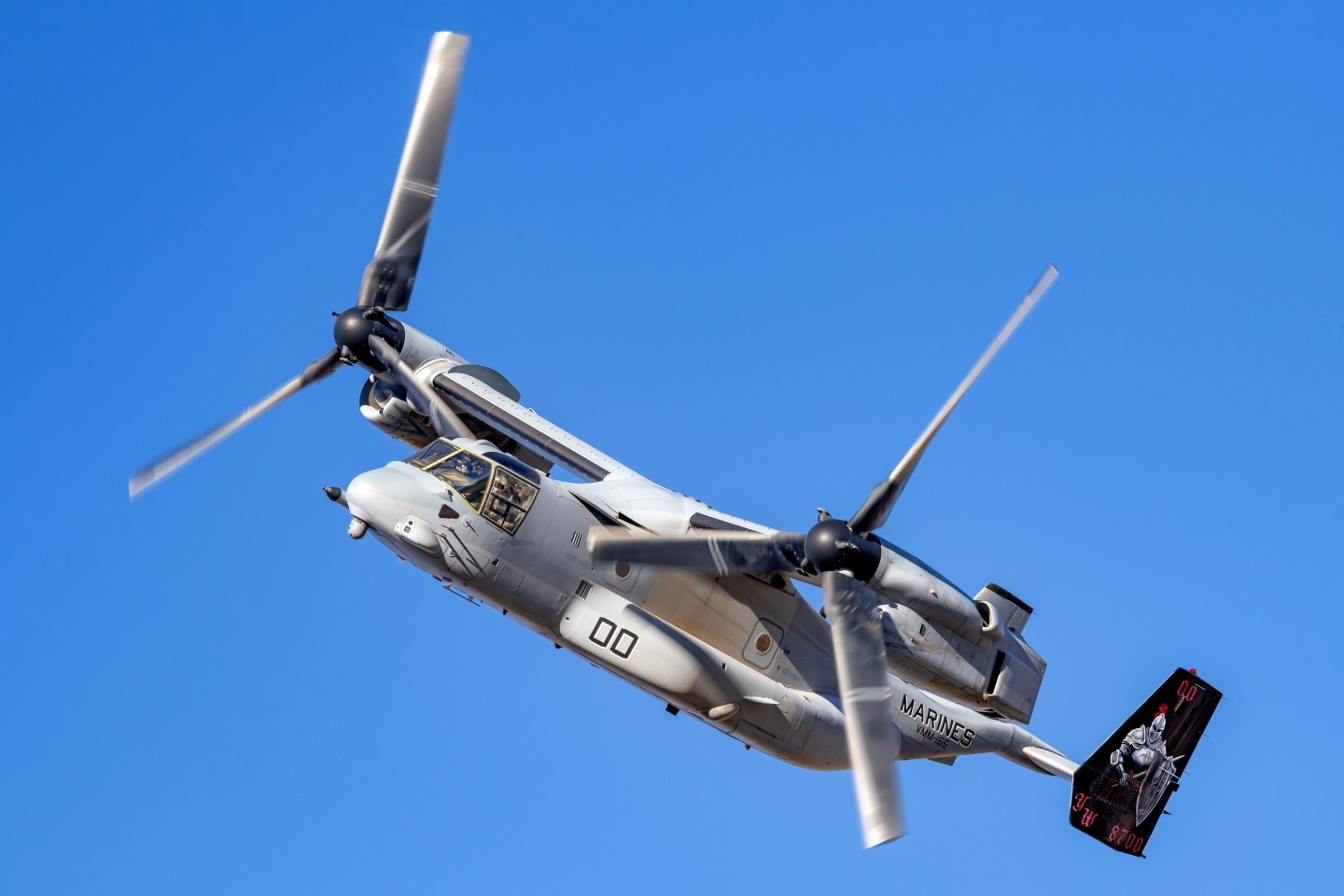 At the end of our photo shoot at Anza-Borrego Desert State Park, California,  VMM-165 White Knights newly painted tail on it's Bell/Boeing MV-22B Osprey, flew low and fast over me on the mountain I was shooting from.