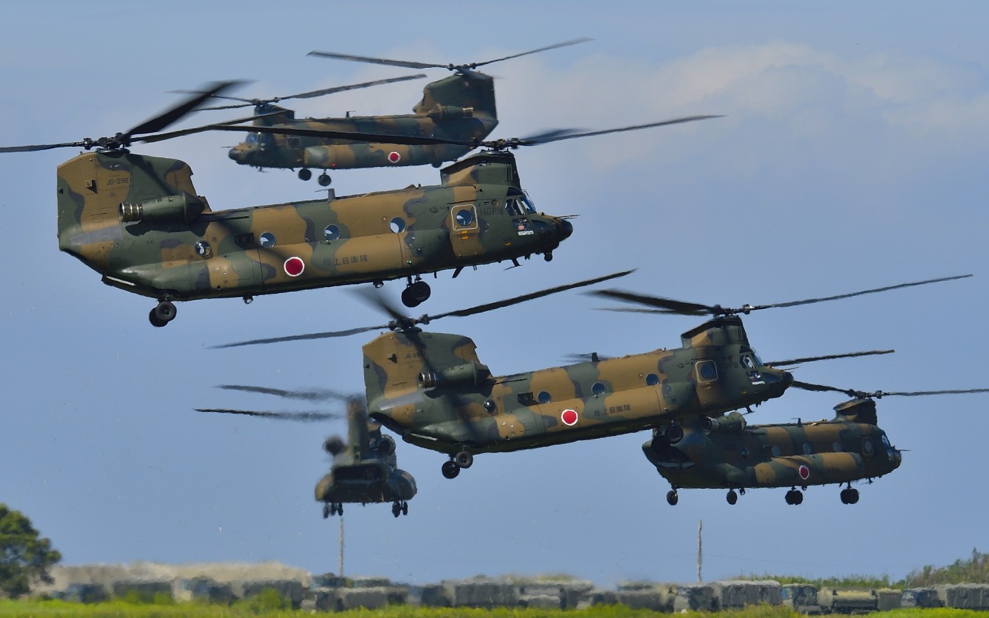 Mass CH-47JAs were preparing for a formation flight in Kisarazu Airshow. 
Camp Kisarazu is the largest Chinook nest in Japan.