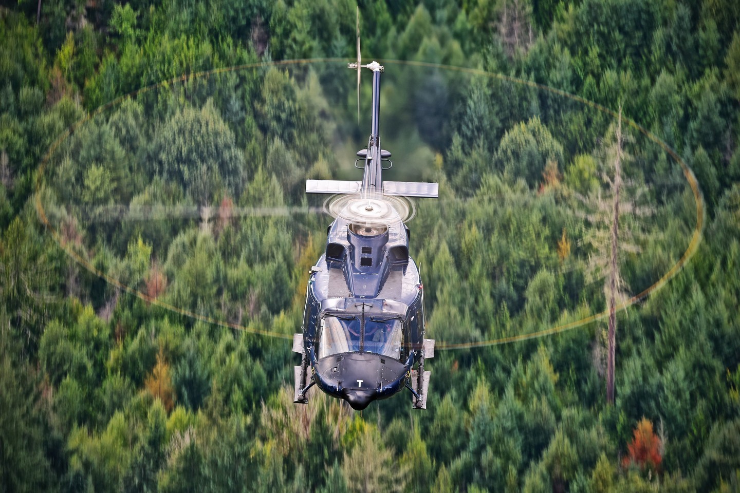 Royal Canadian Air Force Bell 412 on the way to the Abbotsford Airshow 2025